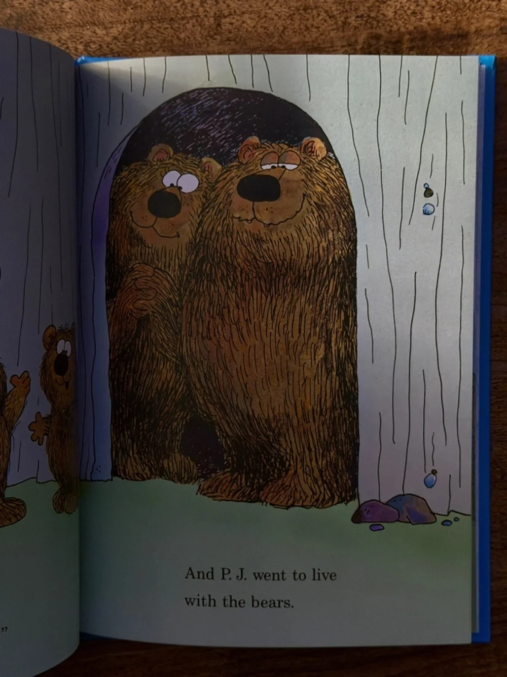 It's Not Easy Being a Bunny - Blue Beginner Kids Book